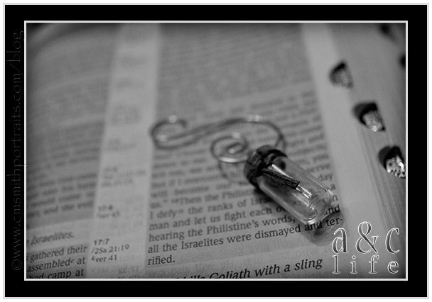 11_17jt-010 11_17jt-010